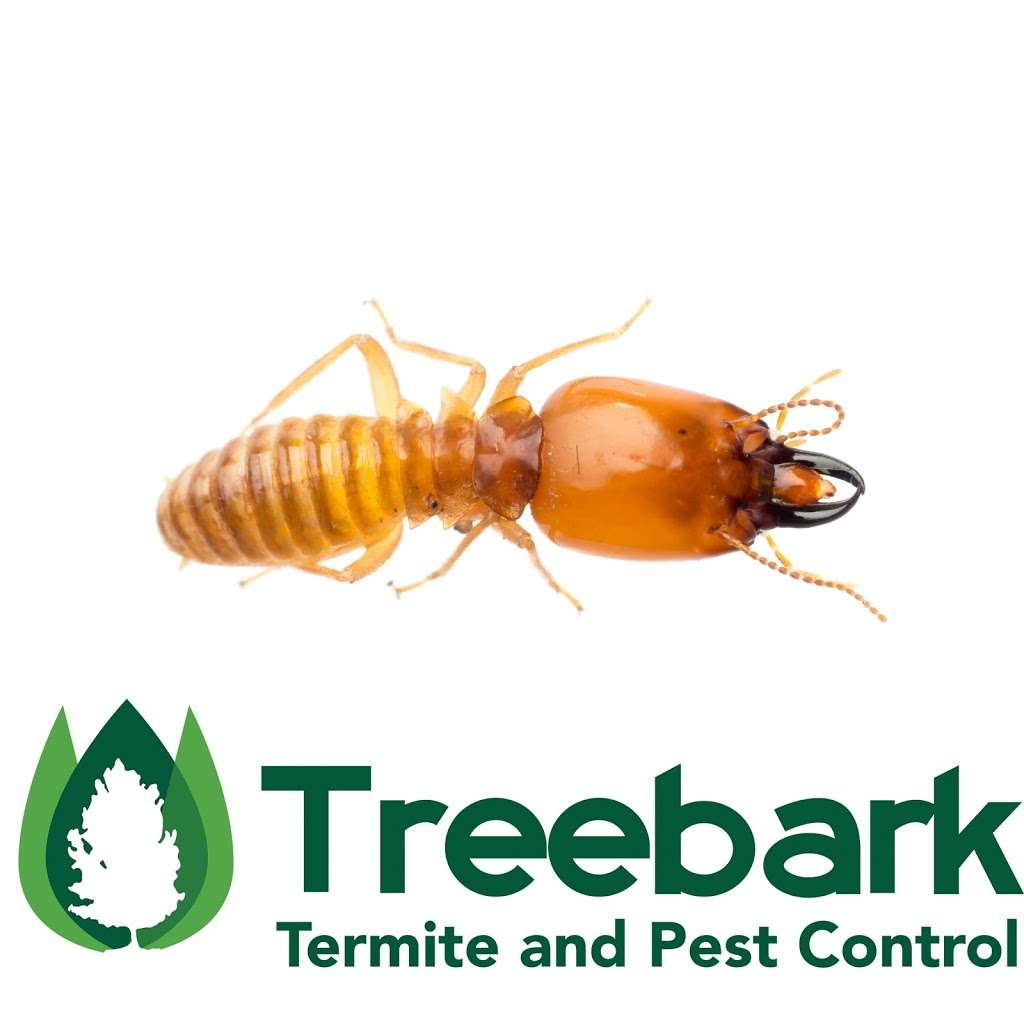 Treebark Termite and Pest Control