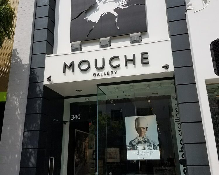 Mouche Gallery