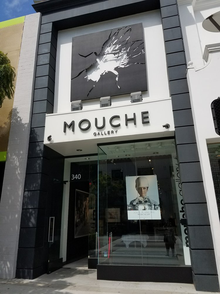 Mouche Gallery